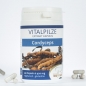 Mobile Preview: Cordyceps Extrakt Kapseln, à 420 mg, 240 Kapseln