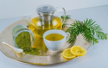 Papayablatt-Tee, 35 g