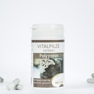 BIo Polyporus Extrakt-Kapseln, a 420 mg, 60 Kapseln
