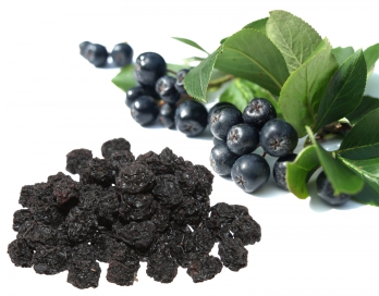 Bio Aronia-Beeren getrocknet 250 g, Rohkost-Qualität