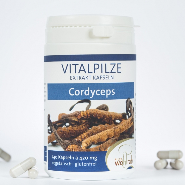 Cordyceps Extrakt Kapseln, à 420 mg, 240 Kapseln
