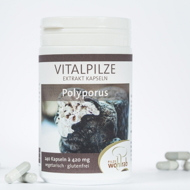 Bio Polyporus Extrakt-Kapseln , a 420 mg, 240 Kapseln