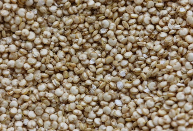 Bio Quinoa weiss 2,5 kg, keimfähig